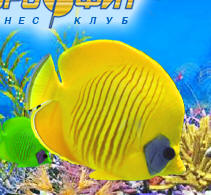 Текст кнопки